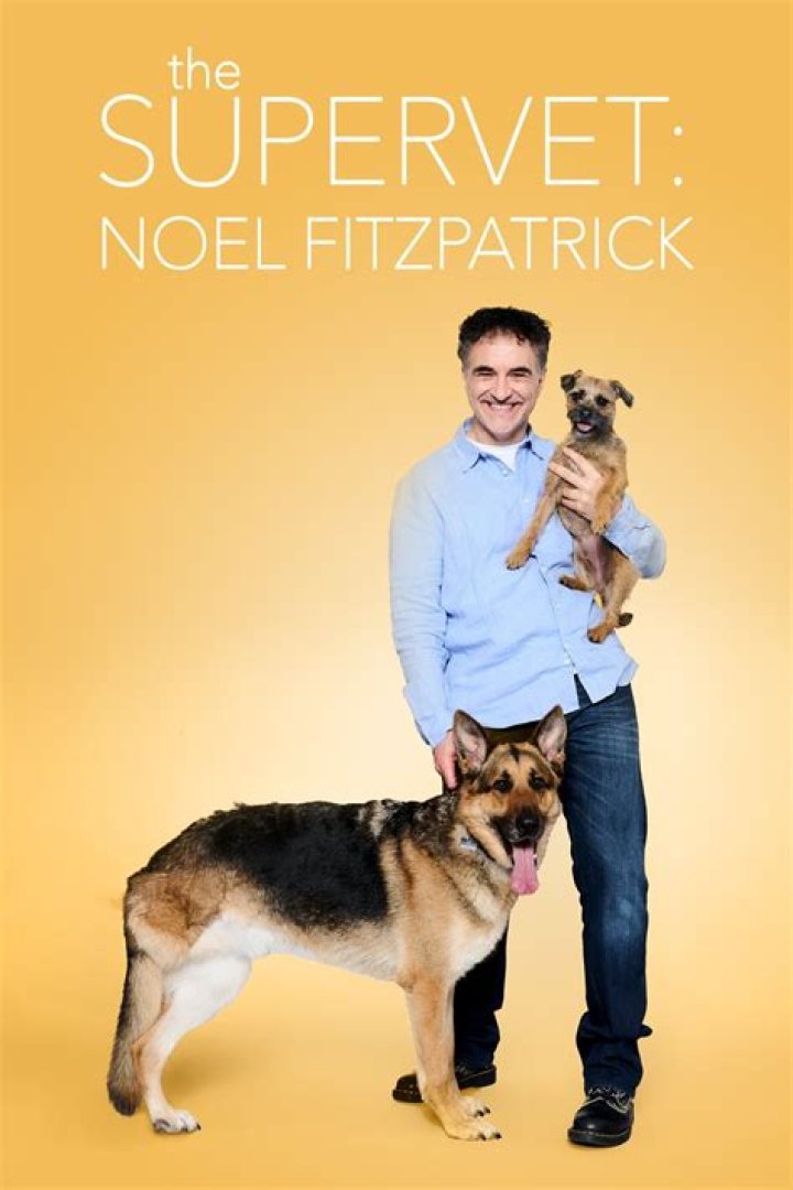 Noel Fitzpatrick net worth 2022. Supervet’s Wealth, House & Cars.