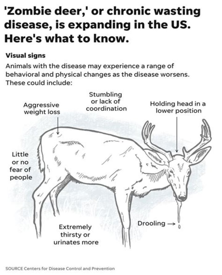 The Sickness Turning Deer Into Zombies